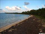 Green Beach - VIEQUES